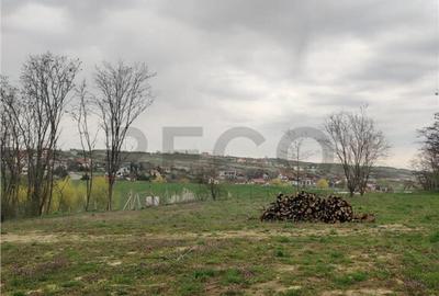 RECO . TEREN INTRAVILAN PALEU - 13