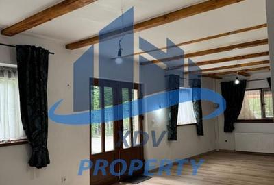 Pensiune/ Vila Valea Avrigului - 5