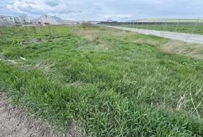 Teren de 5000 mp, în Lețcani - 4