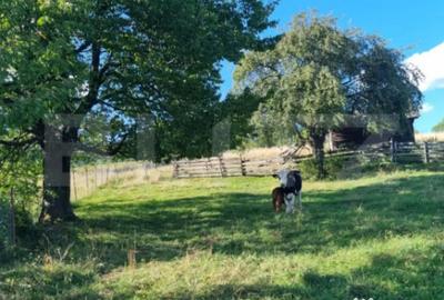 Teren de 2500 mp, în Central - 2