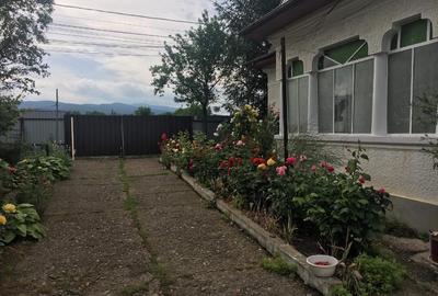 Casă individuală cu 5 camere cu Teren 4330 Mp în Jariștea - 2