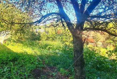 Casa de vanzare 170 mp, teren 1800 mp, Medias, cartier Vitrometan - 1