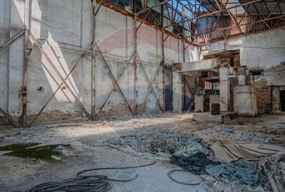 Spațiu industrial, de 12,000 mp, în Periferie - 11