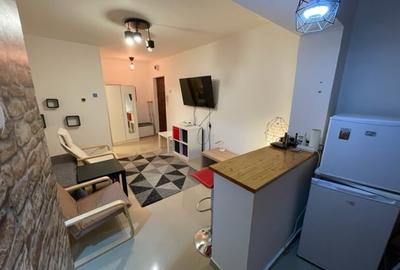 URDA,PARC REGINA MARIA, Garsoniera crocheta, etaj 8/10, 30 mp, renovata - 3