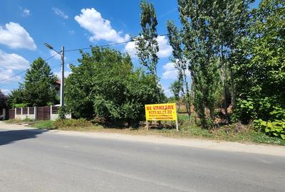 Magurele-Piscina Magurele,doar 1km primarie,parc,stadion! Magurele-Piscina Magurele,doar 1km primarie,parc,stadion! - 3