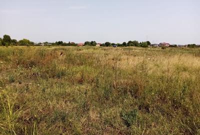 TEREN CONSTRUCTII-CORBEANCA-TAMASI-PRET IMBATABIL-LANGA PADURE-POZITIE BUNA - 2