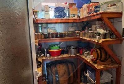 De vanzare 2 Corpuri de Casa si Teren 1388 mp in Geamana, Bradu - 6
