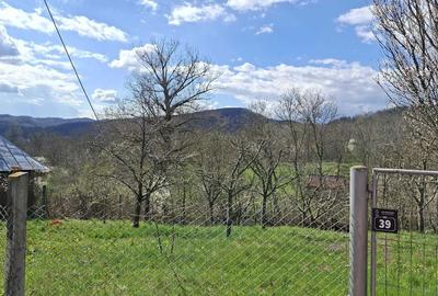 Spațiu comercial, în Olteni - 6