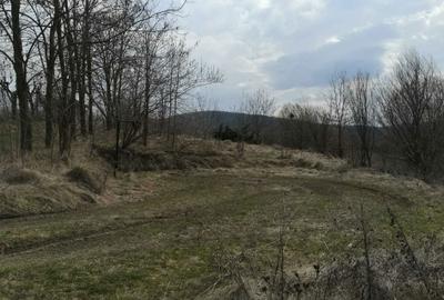 Spațiu comercial, în Luncani - 2