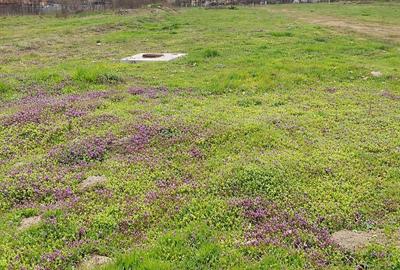 Teren de 2220 mp, în Exterior Vest - 5