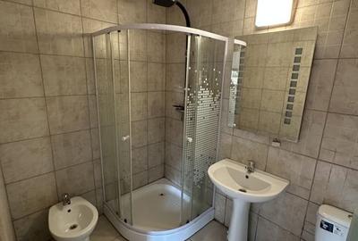 Proprietate cu piscina Dumbravita - 34