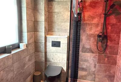 Garsonieră decomandată, mobilată în Bucium - 5