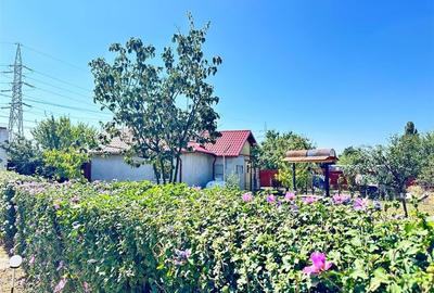 Casa si teren 3567 mp cu piscina, livada si helesteu  Corlatesti - 16