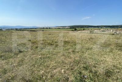Teren de 3800 mp, în Crișeni - 5