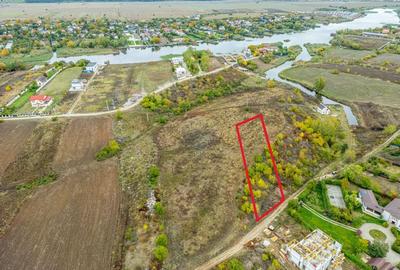 Teren 3000 mp în Snagov – zonă in dezvoltare, aproape de pădure - 6