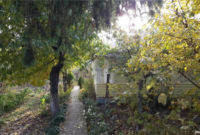 Casă cu Teren 1925 Mp în Gara Berheci - 2