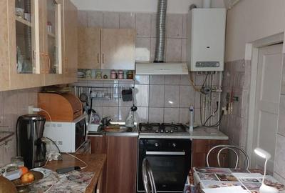 Doua case individuale cu teren total de 2753 mp in Dambul Rotund - 7