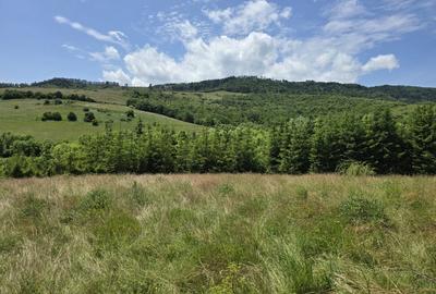 Teren Construcții intravilan de 10000 mp, în Gârcina