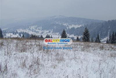 Teren pentru Complex Turistic - 12 730 mp - Vatra Dornei - 7