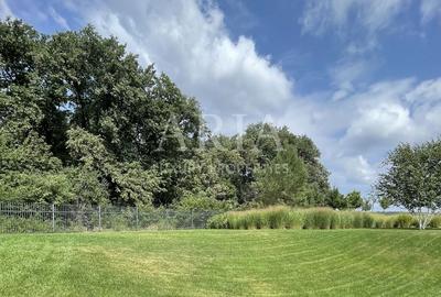 Vila - Dumbrava Vlasiei - pădure Vila - Dumbrava Vlasiei - pădure - 10