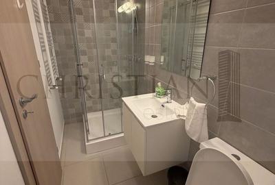 Garsonieră decomandată, mobilată în Drumul Taberei - 9