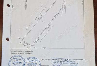 Vand teren intravilan, curti-constructii, drumul Cetului, in spate la Auchan, Bradu - 6
