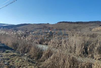 Comision 0% Teren constructii industriale 5800mp, front 59ml, Aeroport - 2