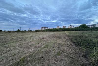 Teren Construcții intravilan de 742 mp, în Dumbrăvița - 4