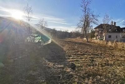 Casă cu 3 camere cu Teren 4400 Mp în Hobița - 7