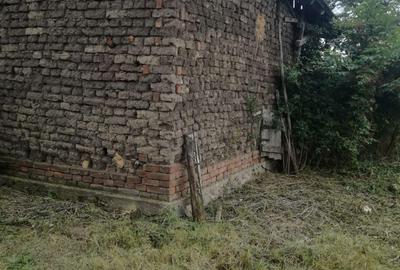 Ag BRASADAS vinde casa LOCUIBILA 3 cam teren 5.000 mp HOREA. - 2