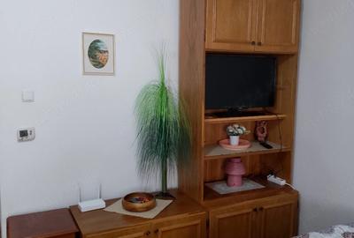 Garsonieră semidecomandată în Central - 3