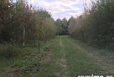 Teren de 500 mp, în Central - 12