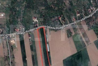 Teren de 8600 mp, în Podgoria - 3