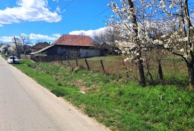 Teren Construcții intravilan de 2592 mp, în Polovragi - 8