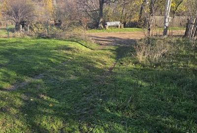 Casă cu 2 camere în Jidoștița - 3