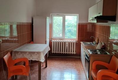Inchiriere platforma betonata de 10000mp, pret 2euro/mp - 7