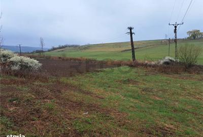 Spațiu comercial, în Ghenetea - 3