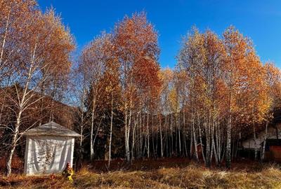 Teren Construcții intravilan de 1433 mp, în Periferie - 9