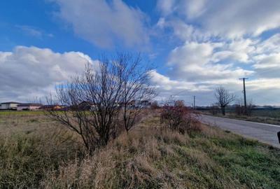 Cornetu, Str Aeroportului, teren 2470mp, deschidere 27ml, ut - 10