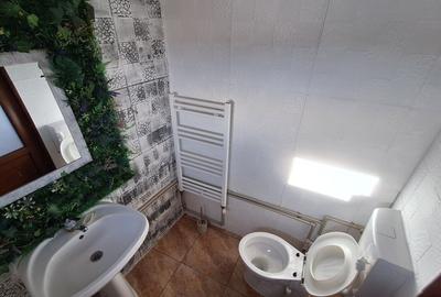 Spațiu comercial, de 100 mp, în Valu lui Traian - 4