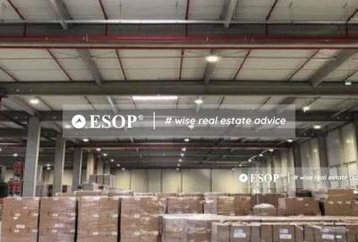 Timisoara Industrial Park, spatii industriale, 3.000 - 46.000mp - 2