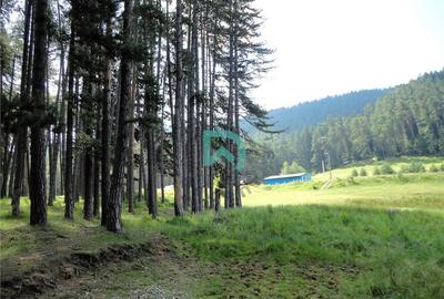 Teren Construcții intravilan de 1500 mp, în Poiana Angelescu - 14