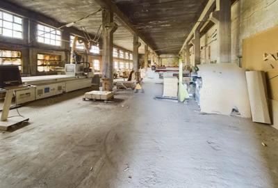 Spațiu comercial, de 1,280 mp, în Șoimoș - 6