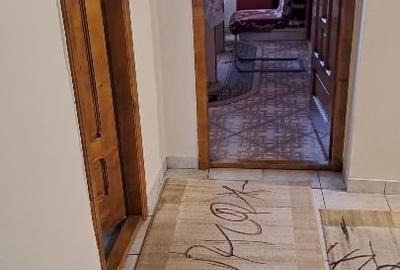 Apartament cu 3 camere decomandat, mobilat în Șag - 13