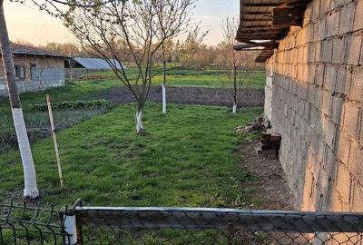 Casă cu Teren 2500 Mp în Otelec - 1