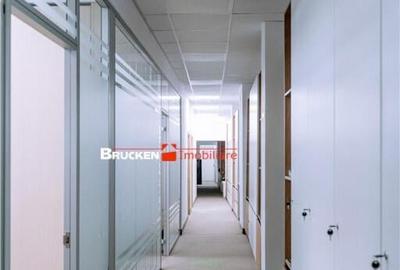 Spațiu comercial, de 437 mp, în Central - 15