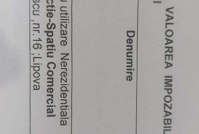 Oportunitate investitionala in zona centrala 760mp - 1