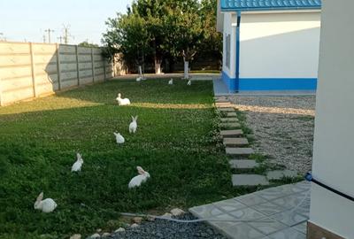 Casă cu 5 camere în Corbu - 12