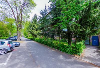 Apartament cu 3 camere decomandat, mobilat în Săsar - 14