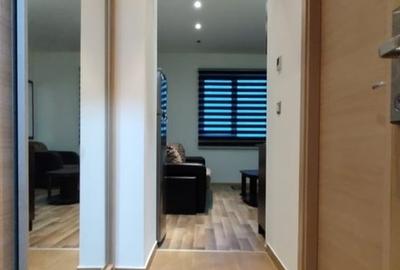 Apartament decomandat în Vitan
